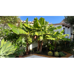 Andalusian Villa with Charm and Private Pool in Almuñécar