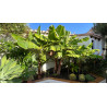 Andalusian Villa with Charm and Private Pool in Almuñécar