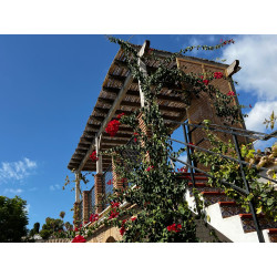 Andalusian Villa with Charm and Private Pool in Almuñécar