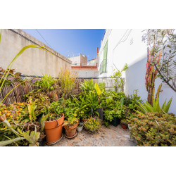 Charming Renovated House in the Heart of Molvízar
